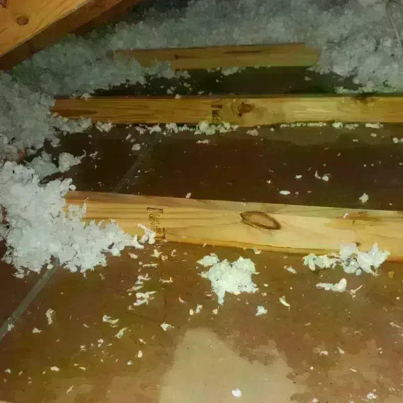 Attic Water Damage in Ottawa County, KS