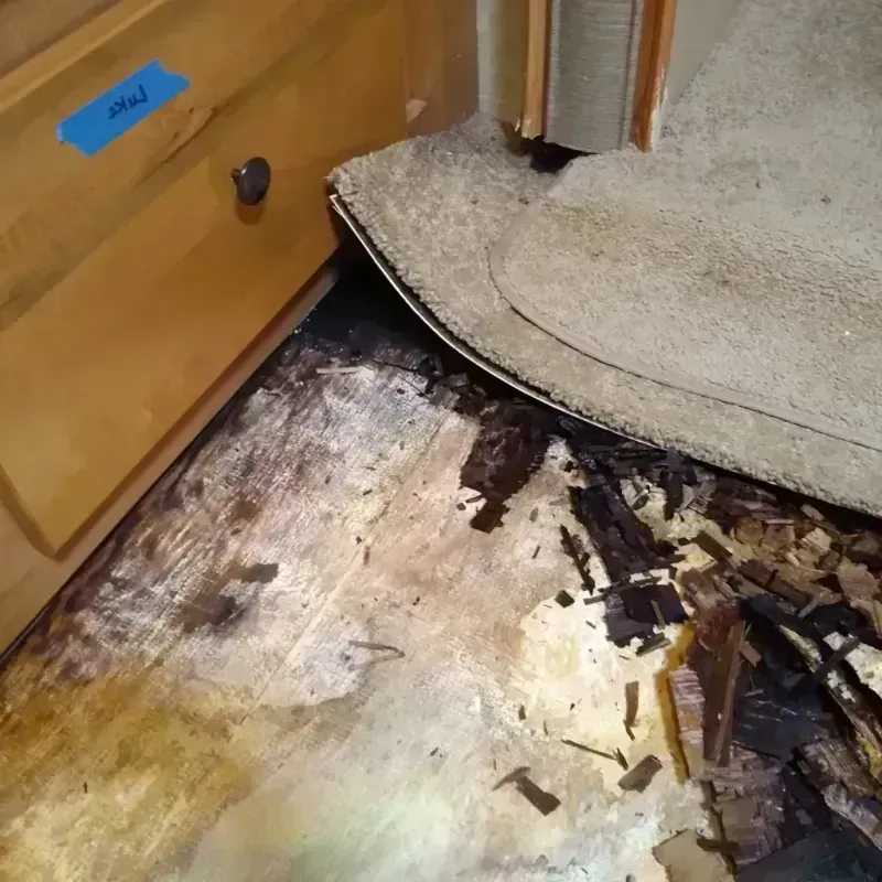 Wood Floor Water Damage in Ottawa County, KS